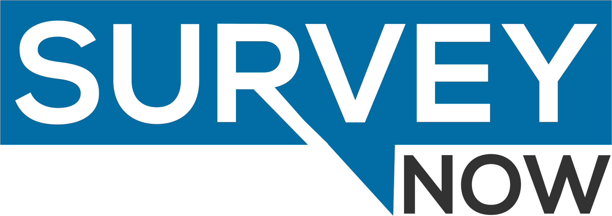 surveynow logo